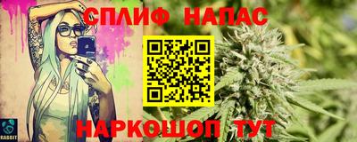 мяу мяу мука Гай