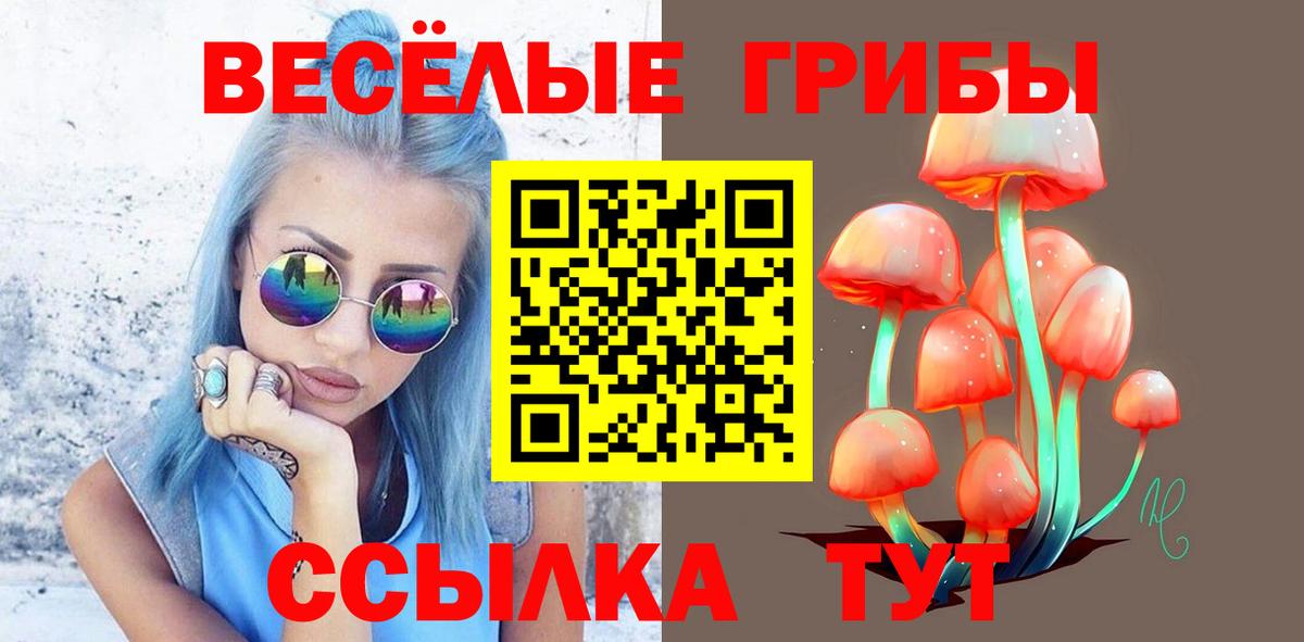 Новотроицк  Псилоцибиновые грибы Magic Shrooms  Вход с VPN 